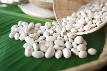 Organic Navy Bean from Thailand.