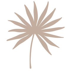 Palm leaf vector illustration in bohemian design
