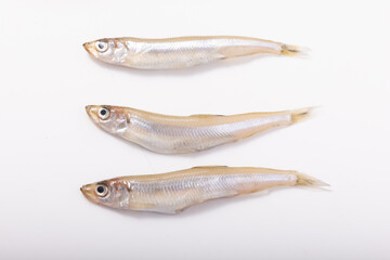 ［青森県産］　わかさぎ