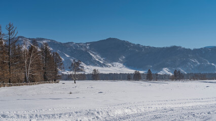 Tire tracks are visible on the trampled road in the snow. A forest grows in the expanse of a snow-covered valley. A mountain range against a clear blue sky. Copy space. Altai
