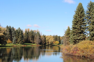 Fototapeta na wymiar autumn in the park, William Hawrelak Park, Edmonton, Alberta