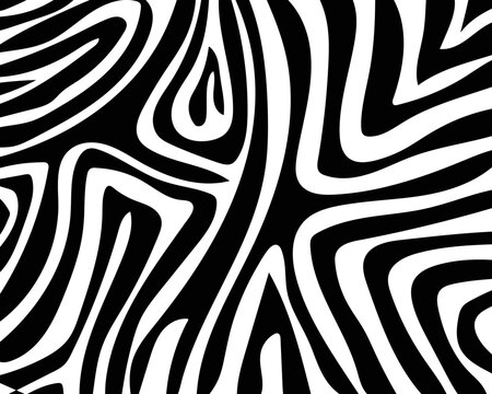 zebra skin texture. vector eps10