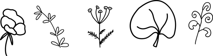 Wildflowers collection. Collection of twigs. Twigs Hand drawn vector floral elements.  Hand-drawn doodles illustration. Line art. Icon