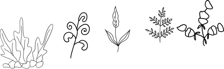 Wildflowers collection. Collection of twigs. Twigs Hand drawn vector floral elements.  Hand-drawn doodles illustration. Line art. Icon