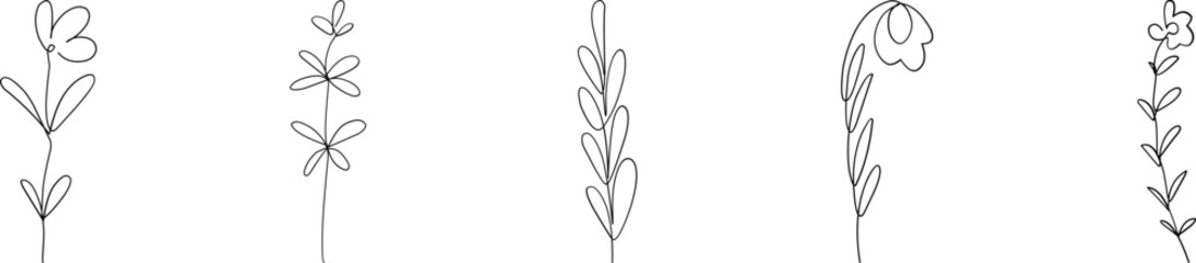 Obraz premium Wildflowers collection. Collection of twigs. Twigs Hand drawn vector floral elements. Hand-drawn doodles illustration. Line art. Icon