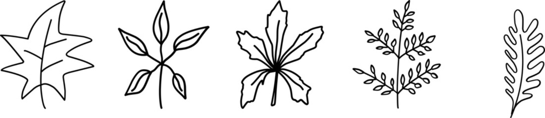 Obraz premium Wildflowers collection. Collection of twigs. Twigs Hand drawn vector floral elements. Hand-drawn doodles illustration. Line art. Icon