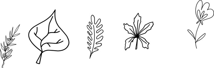 Fototapeta premium Wildflowers collection. Collection of twigs. Twigs Hand drawn vector floral elements. Hand-drawn doodles illustration. Line art. Icon