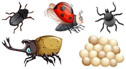 Collection of different insects vector
