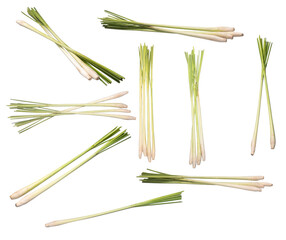 Set-Lemongrass isolated on white background ,Fresh Lemongrass-Thai herbs.