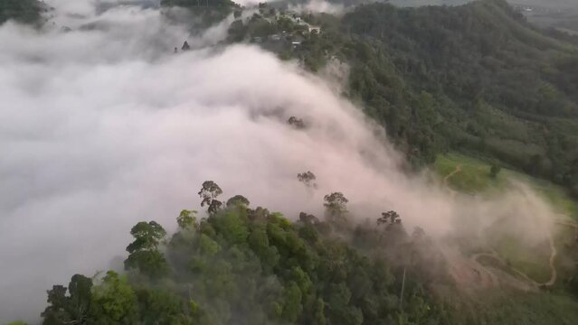 Morning mist same water fall  flows over mountain forest