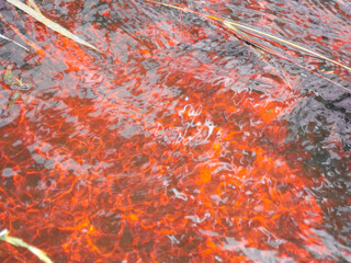 The texture of the similarity of magma under water. The effect of red lava under water
