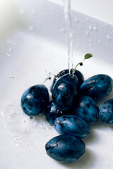 a handful of ripe plums under running water, pure organic food 