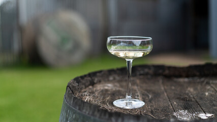 Champagne glass on wine barrell