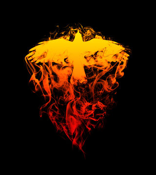 Silhouette of a flying raven with spread wings in beautiful flames, isolated on a black background. Silhouette of a flying raven on fire. Big large size.