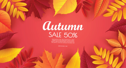 Autumn sale background, banner, poster or flyer. Vector illustration with colorful leaves. Template for banner, web poster, flyer, greeting card.