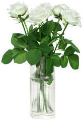 Beautiful white roses bouquet in a stylish glass vase isolated - obrazy, fototapety, plakaty