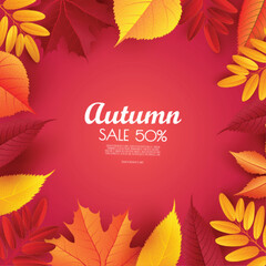 Abstract vector illustration Autumn sale background with falling autumn leaves.