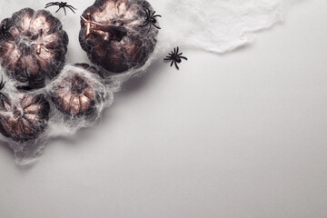 Halloween black pumpkins under cobweb with spiders on grey background. Halloween party decorations