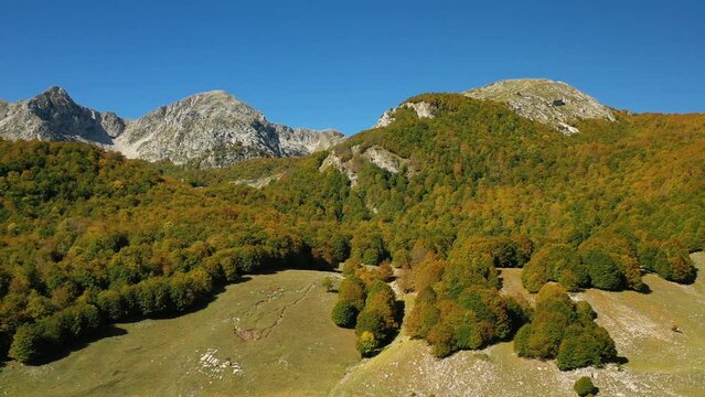 Forest and mountains of Abruzzo national park, sunny, autumn day, in Italy - aerial view