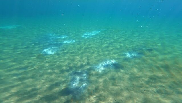 Underwater grey vulcanos on the sand of the seabed in the Mediterranean Sea in the summer, Greece