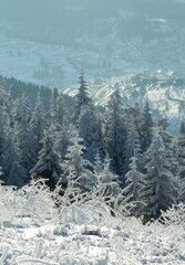 spectacular winter scenery, awesome sunset landscape, beautiful nature background in the mountains, Carpathian mountains, Ukraine, Europe