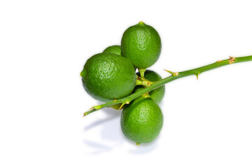 Green lemon isolated on white background