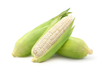 Fresh white corn isolated on white background. Clipping path.