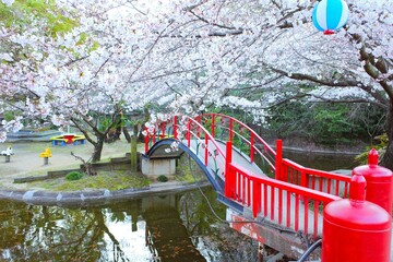 橋の上で桜に囲まれる撮影スポット