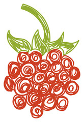 Raspberry fruit sketch. Color illustration. Pen or marker doodle drawing