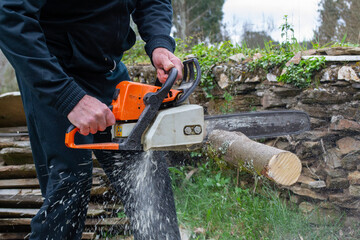 Lumberjack cutting wood tree with a power saw in a forest in Spain