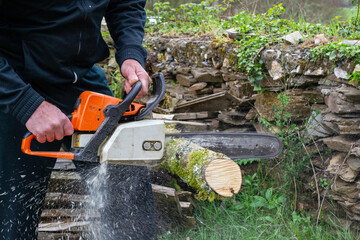 Lumberjack cutting wood tree with a power saw in a forest in Spain