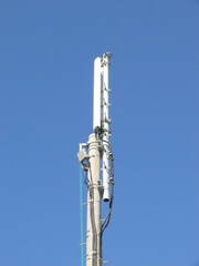 アンテナ。 pole antenna.closeup.