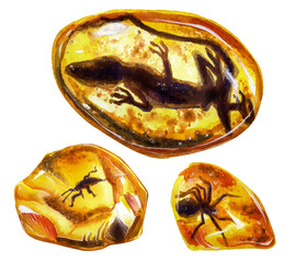 Amber and insects and reptiles inclusions. Lizard, spider and weevil in the resin of the tree. Ancient excavations. Watercolor drawing.
