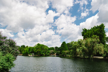 Fototapeta premium Picture of a river pond surrounded by lush green trees under a cloudy blue sky in the afternoon