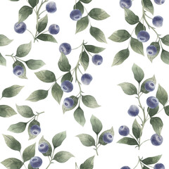Watercolor pattern with blueberries isolated.