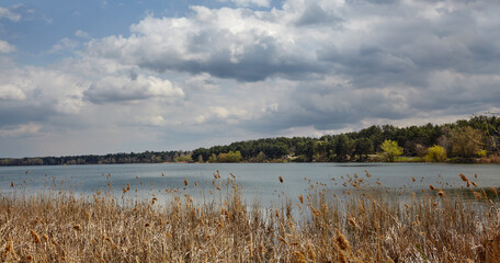 Beautiful river landscape. The surface of the water against the background of trees and a blue sky. Blurred image, selective focus