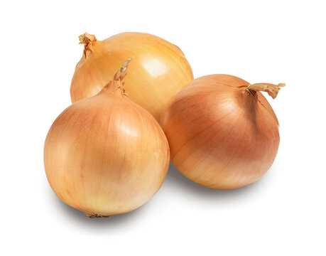 onion bulbs isolated on white. the entire image in sharpness.
