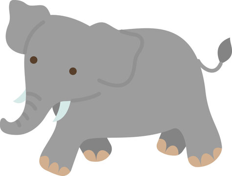 Elephant Icon