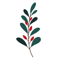 Hand drawn branch with leaves and berries isolated on white background. Decorative doodle sketch illustration. Vector floral element.