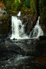 waterfall in the forest