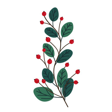 Hand drawn branch with leaves and berries isolated on white background. Decorative doodle sketch illustration. Vector floral element.