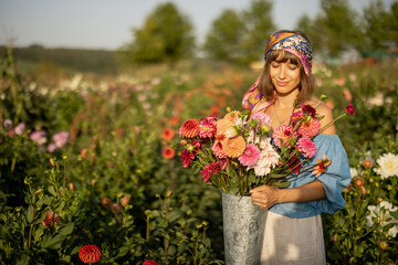 Portrait of a woman as a farmer carries bucket full of freshly picked up colorful dahlias, working...