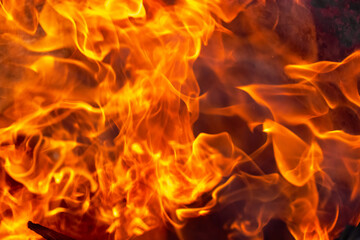 Fototapeta premium Burning fire close up. Bright orange and red flames on a dark background. Open flame heating. Problems with heating and gas.