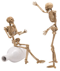 Human skeleton as people talking isolated