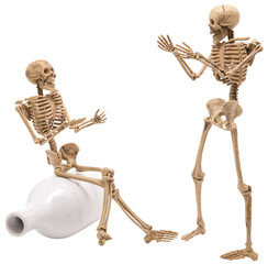 Human skeleton as people talking isolated