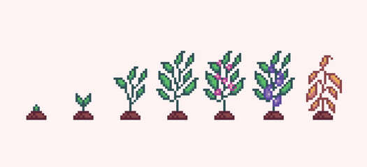 Eggplant plant growth progress pixel art. Sapling germination stages 8 bit sprite. Game development, mobile app.  Isolated vector illustration.