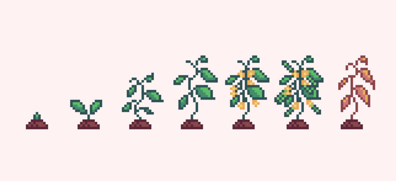 Cucumber plant growth progress pixel art. Sapling germination stages 8 bit sprite. Game development, mobile app.  Isolated vector illustration.