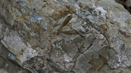 Texture roccia di montagna