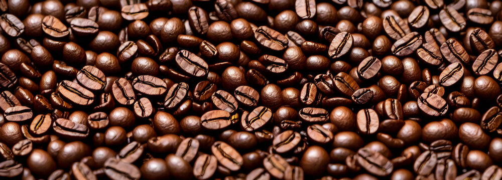Coffee beans background. Banner size. 3d image