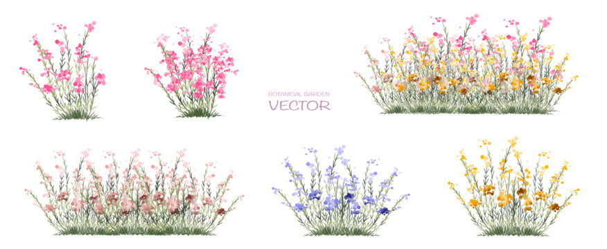 Vector watercolor blooming flower grass side view isolated on white background for landscape and architecture drawing, elements for environment or and garden,botanical elements for section in spring